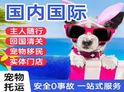 遥墙空运公司国际宠物托运 【国